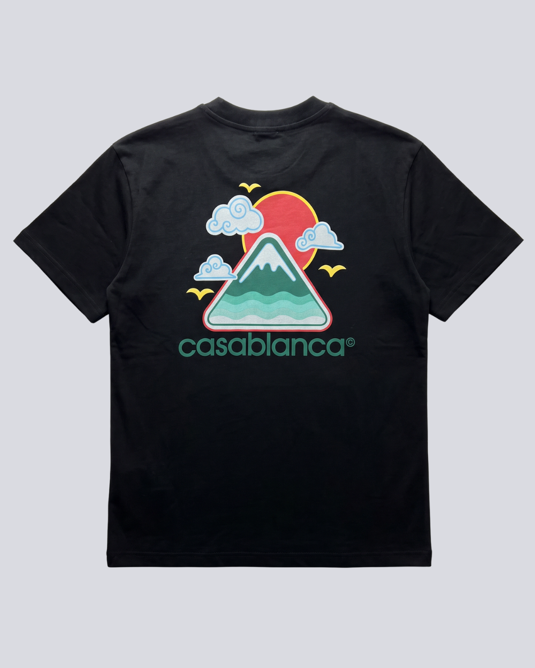 Camiseta CSB111141