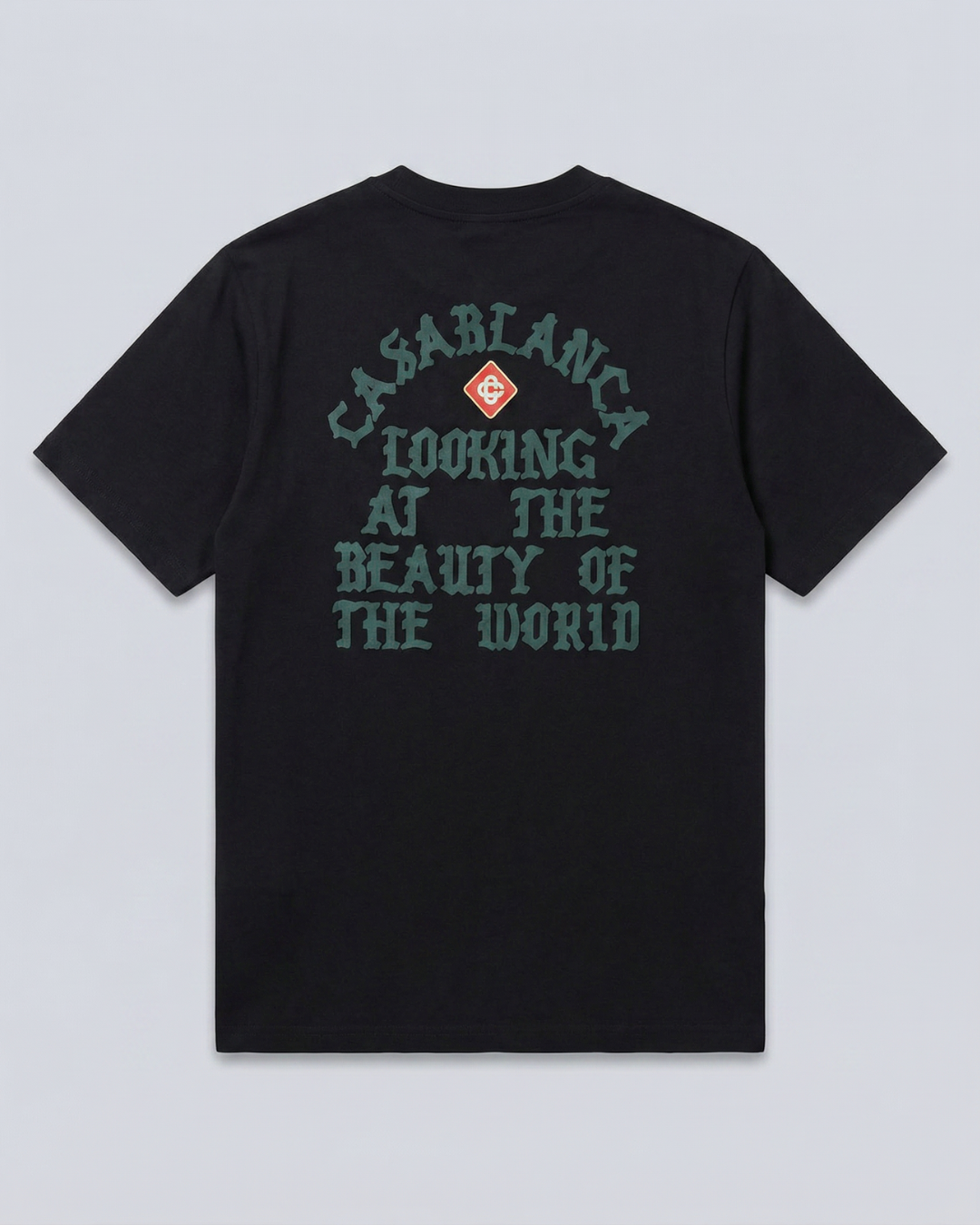 Camiseta CSB8391