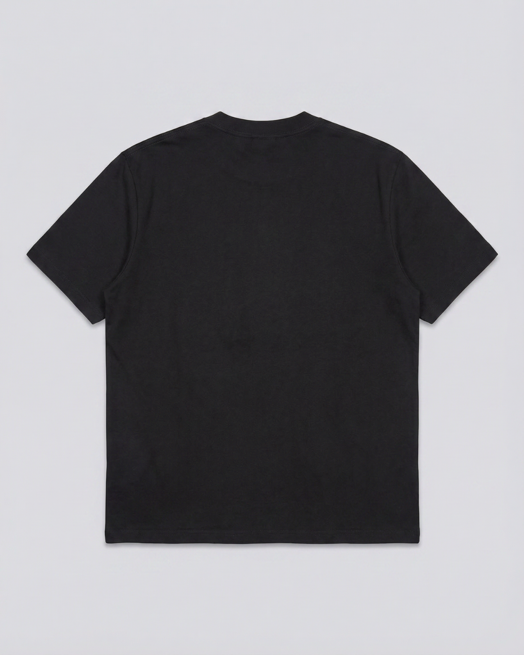 Camiseta AMR141