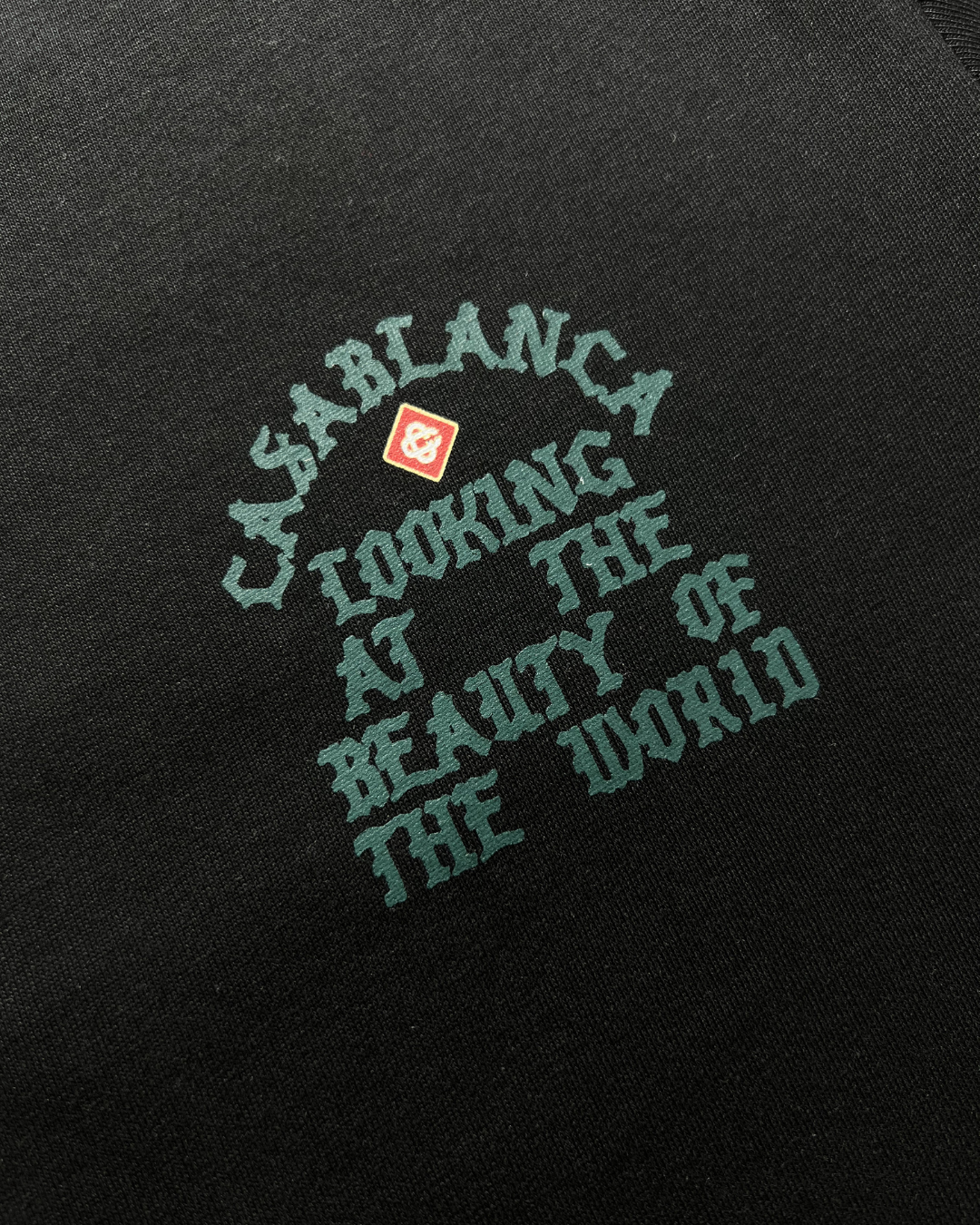 Camiseta CSB8391